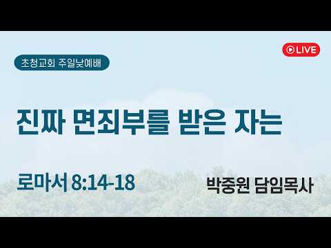 진짜 면죄부를 받은 자는
